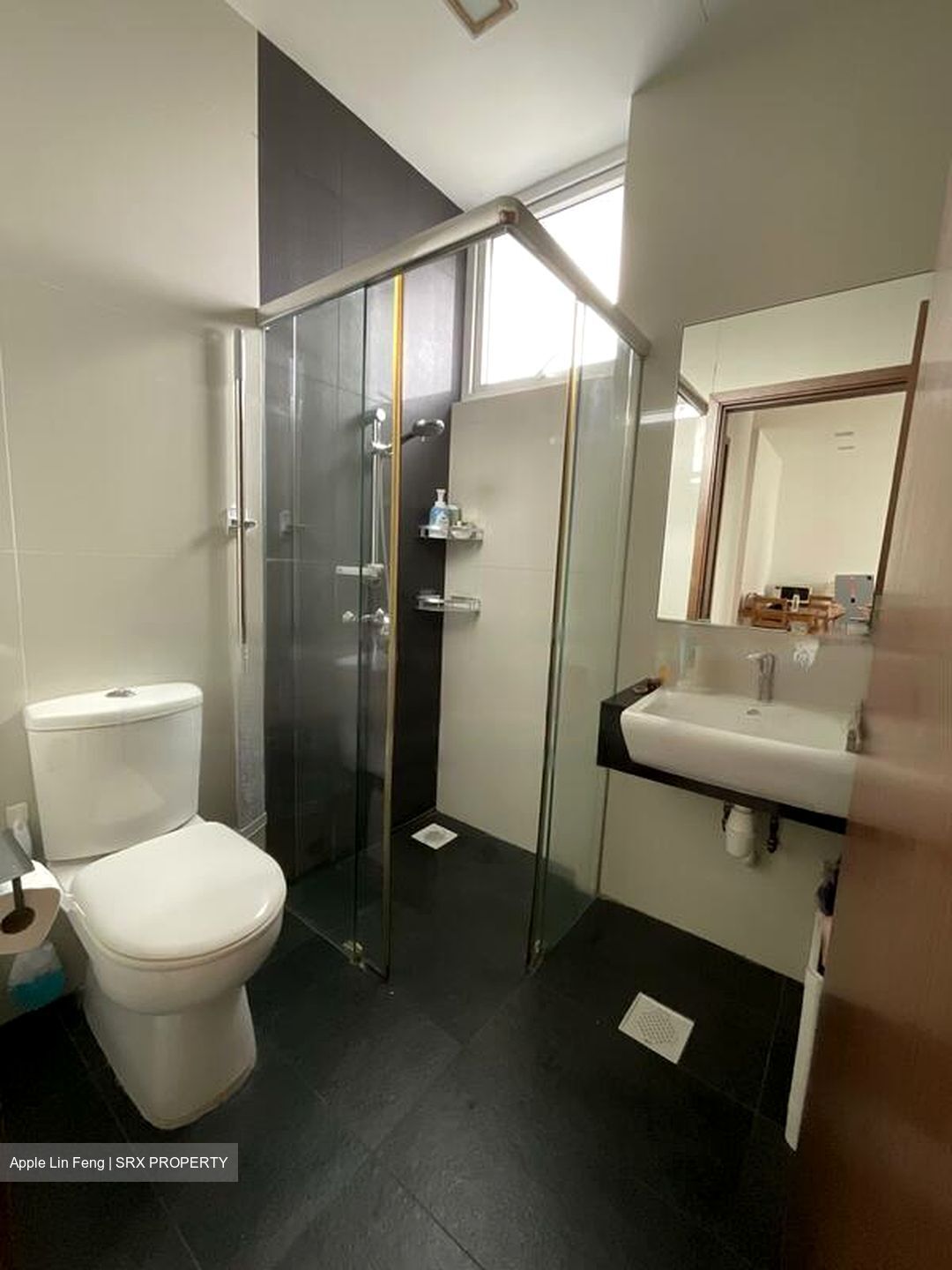 Parc Elegance (D15), Apartment #462576541